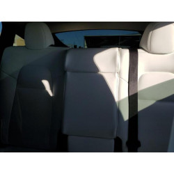 2023 TESLA MODEL Y 7SAYGAEE7PF798438 43786205
