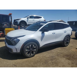 2023 KIA SPORTAGE X 5XYK6CAF4PG099194 56987495