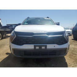 2023 KIA SPORTAGE X 5XYK6CAF4PG099194 56987495