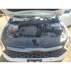 2023 KIA SPORTAGE X 5XYK6CAF4PG099194 56987495