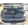 2023 KIA SPORTAGE X 5XYK6CAF4PG099194 56987495