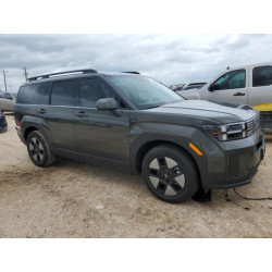2025 HYUNDAI SANTA FE 5NMP24G12SH041876 54260755