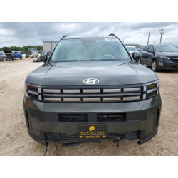 2025 HYUNDAI SANTA FE 5NMP24G12SH041876 54260755