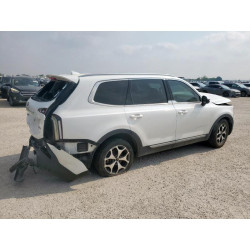 2020 KIA TELLURIDE 5XYP3DHC5LG017161 56020055