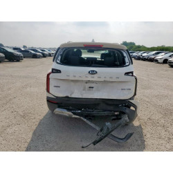 2020 KIA TELLURIDE 5XYP3DHC5LG017161 56020055