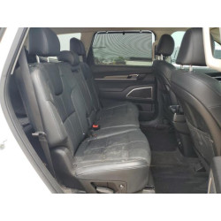 2020 KIA TELLURIDE 5XYP3DHC5LG017161 56020055