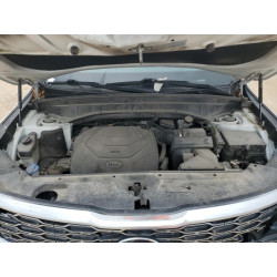 2020 KIA TELLURIDE 5XYP3DHC5LG017161 56020055