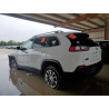 2020 JEEP GRAND CHER 1C4PJLLX8LD525066 59350035