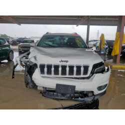 2020 JEEP GRAND CHER 1C4PJLLX8LD525066 59350035