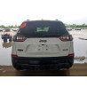 2020 JEEP GRAND CHER 1C4PJLLX8LD525066 59350035