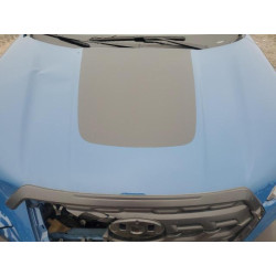 2022 SUBARU FORESTER JF2SKAMC7NH528741 61223425