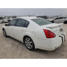 2005 NISSAN MAXIMA