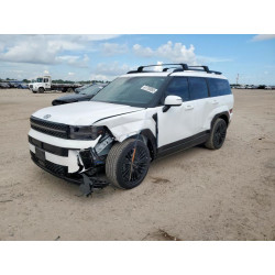 2025 HYUNDAI SANTA FE 5NMP5DG17SH035403 61793055