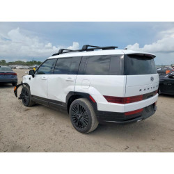 2025 HYUNDAI SANTA FE 5NMP5DG17SH035403 61793055