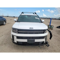 2025 HYUNDAI SANTA FE 5NMP5DG17SH035403 61793055