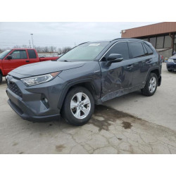 2021 TOYOTA RAV4 JTMRWRFV1MD127044 52237965