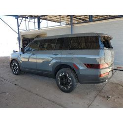 2025 HYUNDAI SANTA FE 5NMP14GL8SH106203 58059795