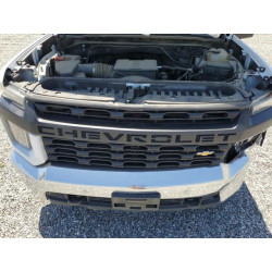 2023 CHEVROLET ALL Models 1GC5WRE76PF235105 58774185