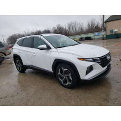 2023 HYUNDAI TUCSON 5NMJF3AE6PH251114 38545584