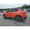 2020 JEEP COMPASS 3C4NJDDB6LT123816 59665795