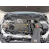 2024 BUICK ENVISTA SP KL47LBE21RB204393 55357575