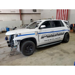 2020 CHEVROLET TAHOE 1GNLCDEC4LR257930 57886125