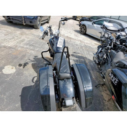 2024 HARLEY-DAVIDSON FX 1HD1BVJ10RB024253 59710875