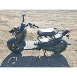 2020 HONDA RUCKUS JH2AF5819LK801233 63243645