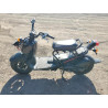 2020 HONDA RUCKUS JH2AF5819LK801233 63243645