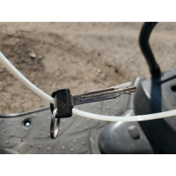 2020 HONDA RUCKUS JH2AF5819LK801233 63243645