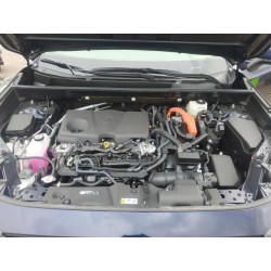 2025 TOYOTA RAV4 JTMD6RFV4SJ065972 60636695
