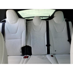 2024 TESLA MODEL X 7SAXCDE52RF445861 54183835