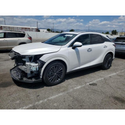 2024 LEXUS RX350 2T2BAMBA5RC045694 56254925