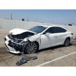2024 LEXUS ES300 58ADA1C10RU040064 58858825