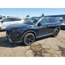 2023 HONDA CRV 7FARS6H93PE018869 62531105