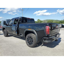 2024 GMC SIERRA 1GT49PEY8RF363185 58157725