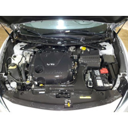 2023 NISSAN MAXIMA 1N4AA6CV8PC511434 63507365