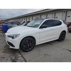 2020 ALFA ROMEO STELVIO ZASPAKBN2L7C76540 56097955
