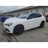 2020 ALFA ROMEO STELVIO ZASPAKBN2L7C76540 56097955