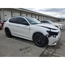2020 ALFA ROMEO STELVIO ZASPAKBN2L7C76540 56097955