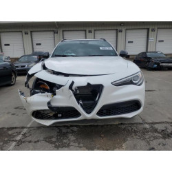 2020 ALFA ROMEO STELVIO ZASPAKBN2L7C76540 56097955