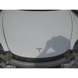 2022 TESLA MODEL 3 5YJ3E1EB1NF194688 61757125
