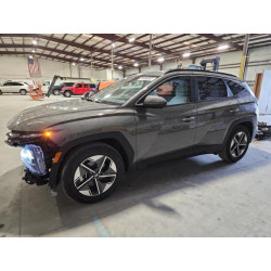 2025 HYUNDAI TUCSON 5NMJB3DE5SH470257 63207525