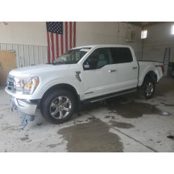 2023 FORD F-150 1FTFW1ED9PFB63831 64026215