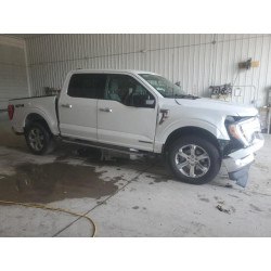 2023 FORD F-150 1FTFW1ED9PFB63831 64026215
