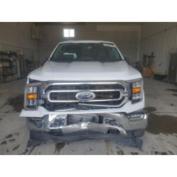 2023 FORD F-150 1FTFW1ED9PFB63831 64026215