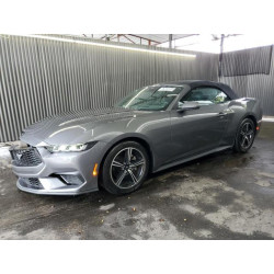 2024 FORD ALL Models 1FAGP8UH3R5133561 62869695