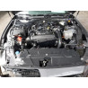 2024 FORD ALL Models 1FAGP8UH3R5133561 62869695