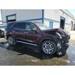 2024 HYUNDAI PALISADE KM8R54GE0RU721308 66609315