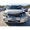 2009 FORD ESCAPE